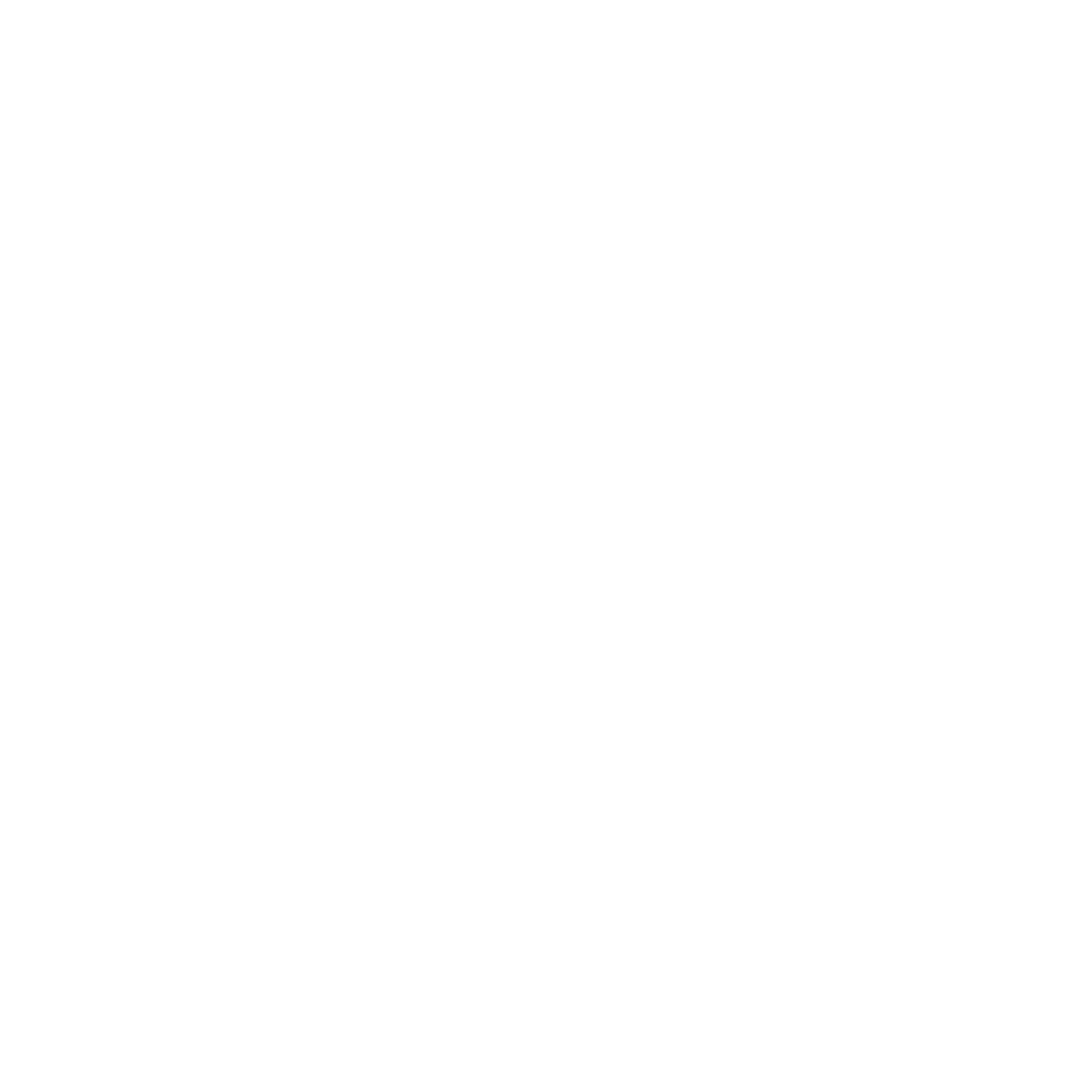icon (2)